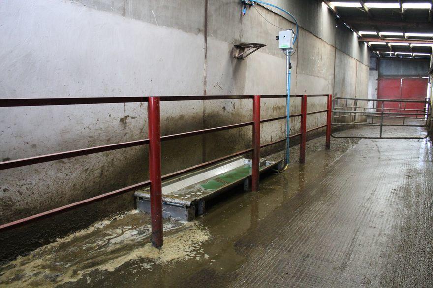 Jetwash Footbath Cowcare Systems