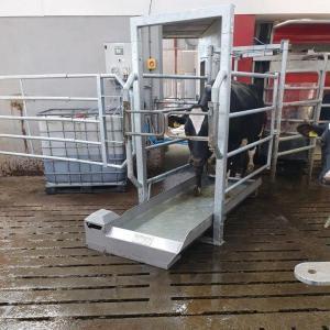 Automatic Cow Footbath